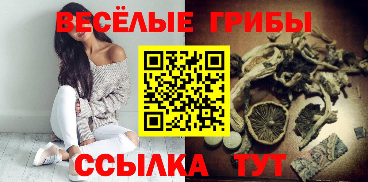 Псилоцибиновые грибы Psilocybine cubensis  Галлюциногенные грибы ЛСД  магазин продажи наркотиков  Ирбит  Вход с VPN 
